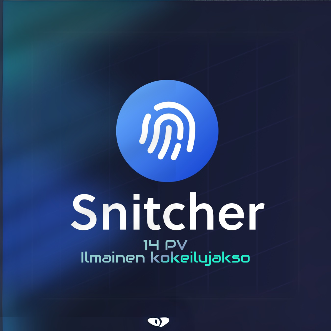 Snitcher – Tunnista verkkosivuvierailijasi | Asennus & Käyttöönotto