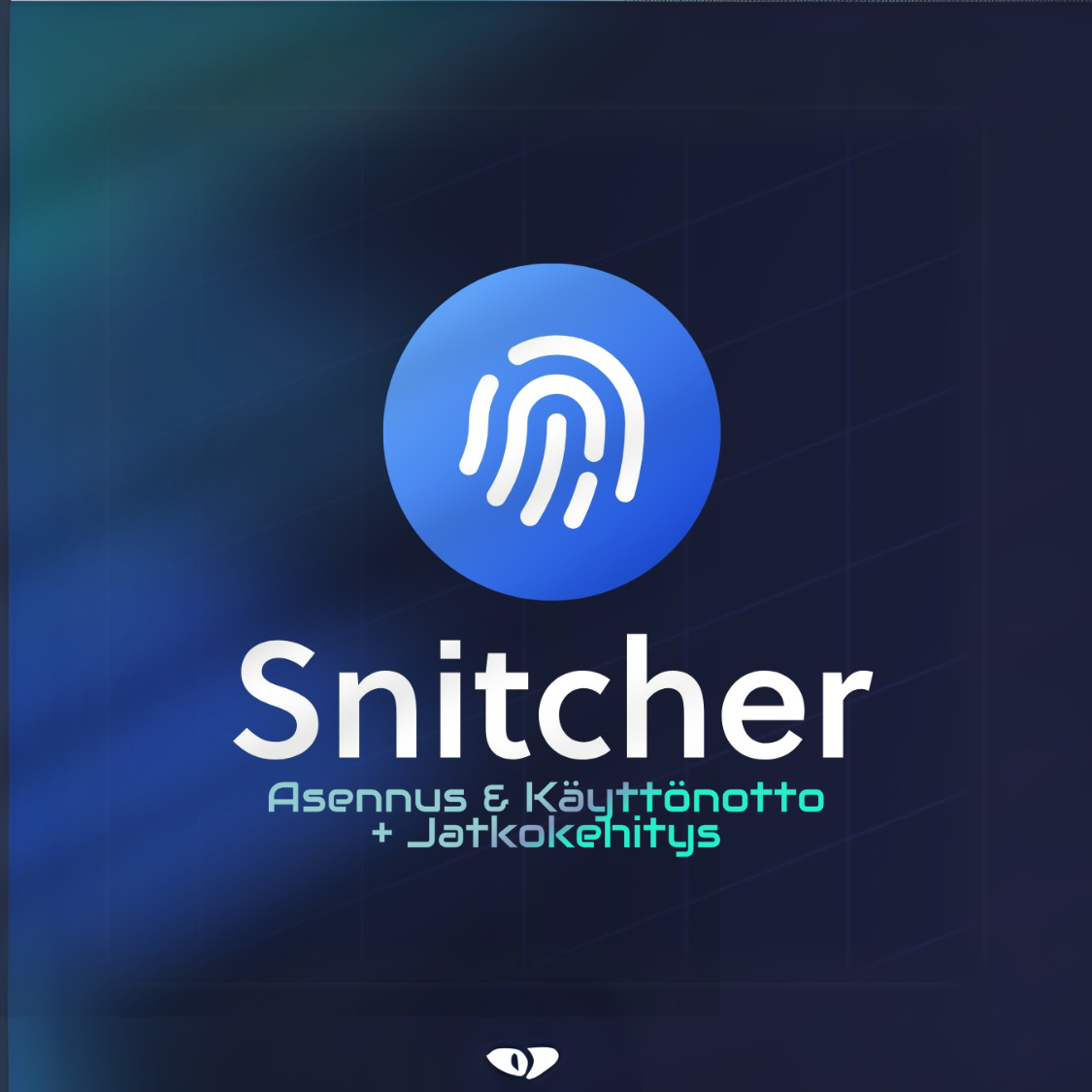 Snitcher – Tunnista verkkosivuvierailijasi | Asennus & Käyttöönotto